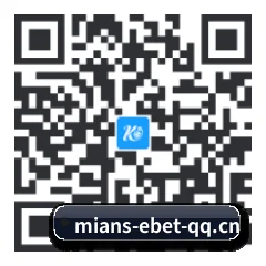 系统版 iOS 二维码
